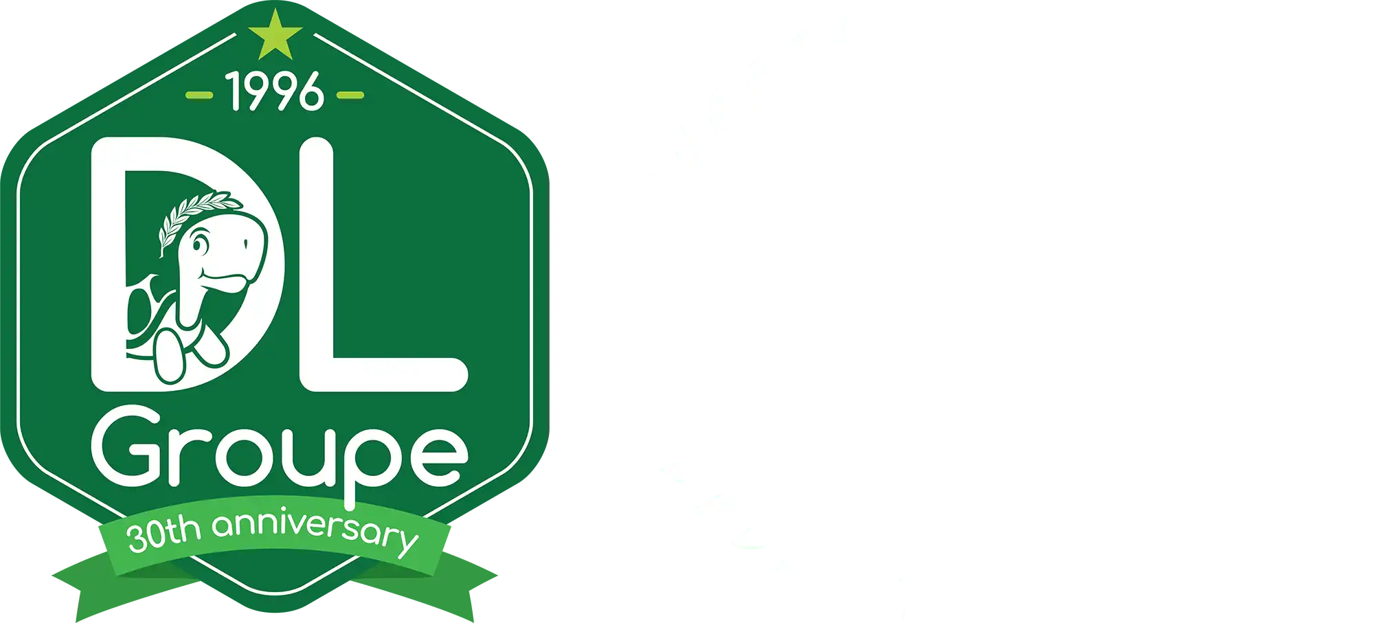 Bien de prestige (Emeraude) A louer 